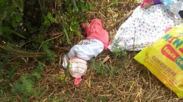 Tarlaya terk edilmiş bebek bulundu