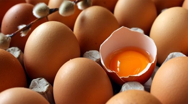 Tavuk yumurtası üretimi azaldı