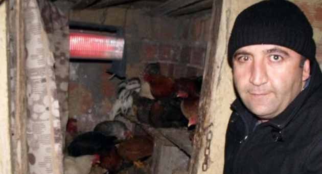 Tavuklarının donmaması için kümese elektrikli ısıtıcı taktırdı