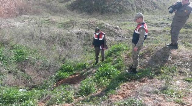 Tecavüze uğradı, ölümle tehdit edince ailesi düşük yaptırdığı bebeği gömdü