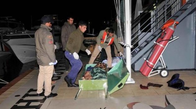 Tek tabuta sığan minik umut yolcuları