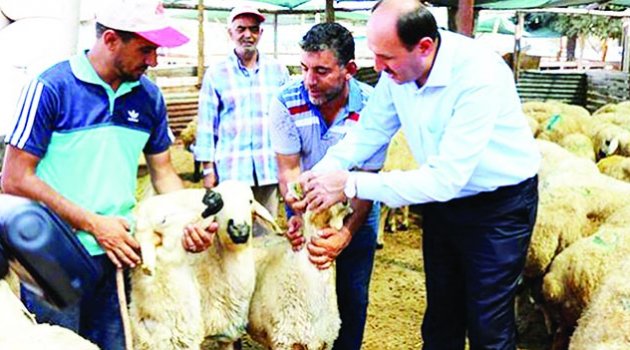 Tekin’den yerinde denetim