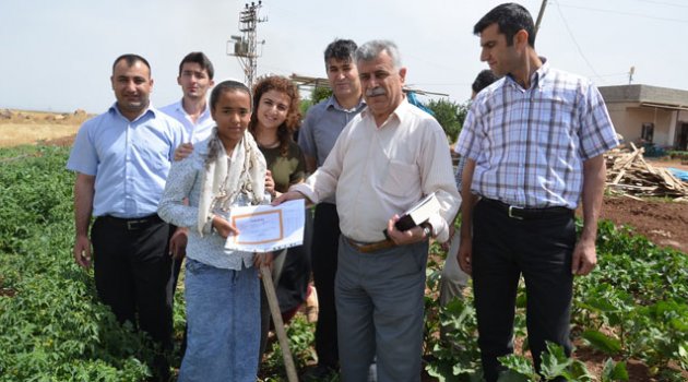 TEOG'un Viranşehir birincisi karnesini tarlada aldı