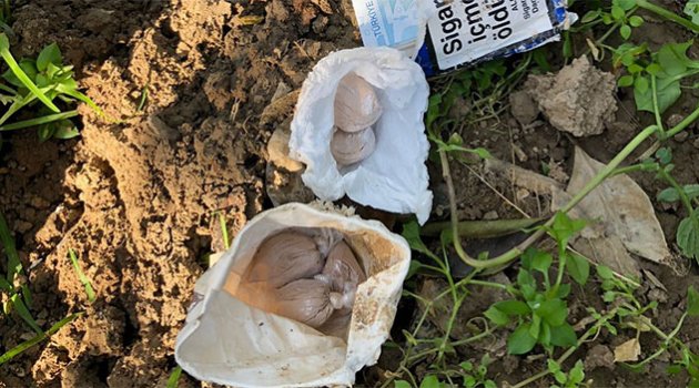 Toprak altına saklanmış halde 13.7 gram eroin bulundu