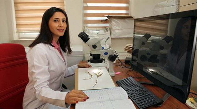 Torosların bitkileri müzelik oldu