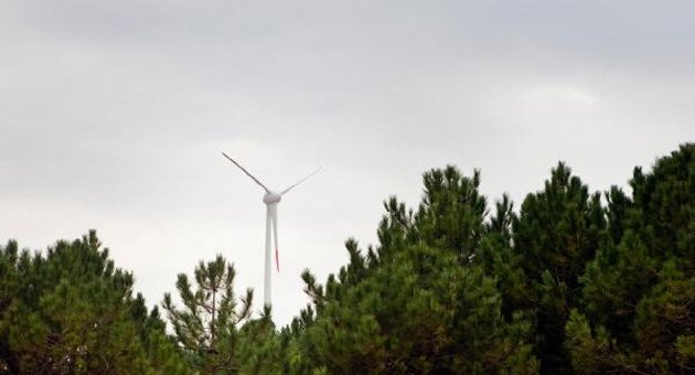 Tüm elektrik ihtiyacını rüzgârdan karşılayan ilk kampüs
