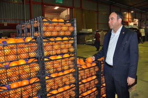 Tümer: “Çukurova, ihracatta darbe yemesin”