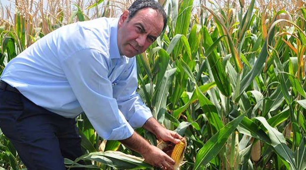 Tümer: Mısır, stratejik üründür