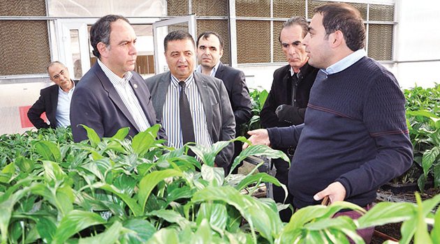 Tümer: Yerli tohum desteklenmiyor