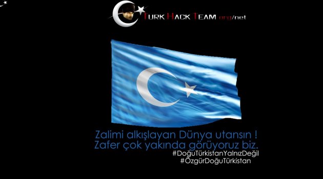 Türk Hackerlar Çin Devlet Sitelerini çökertti