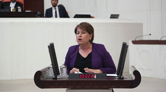 ‘Türkiye’de 14 milyon kadın şiddet görüyor’