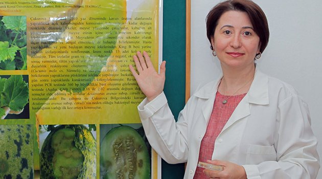 Türkiye, süs bitkisi üretiminde yetersiz