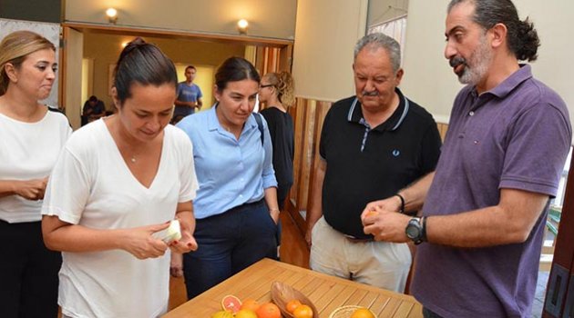 Turunçgil üreticisine Güney Afrika’da yetişen çeşitler tanıtıldı