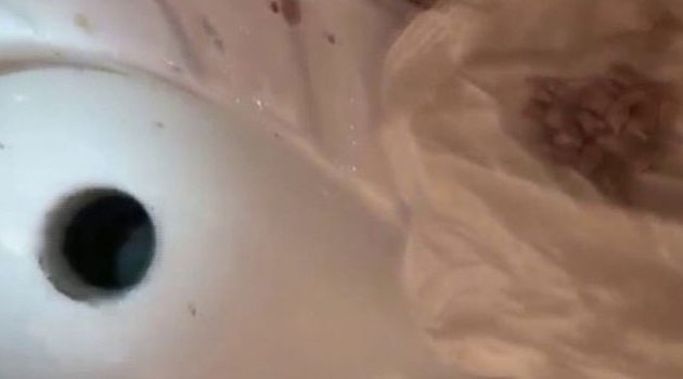 Tuvalet Deliğinde Ve Oyuncak Ayı İçinde Eroin Ele Geçirildi