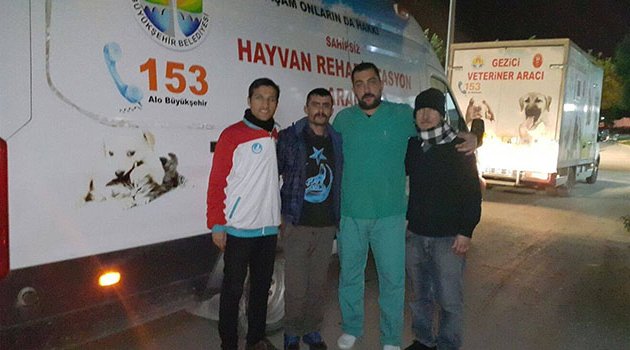Ülkücülerden sahipsiz hayvanlara yardım eli