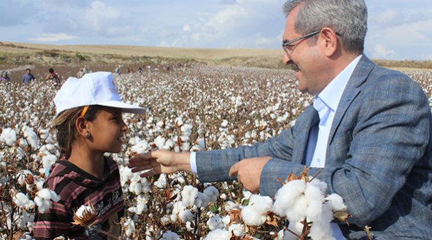 Ünüvar: Bayramlar bizi biz yapar