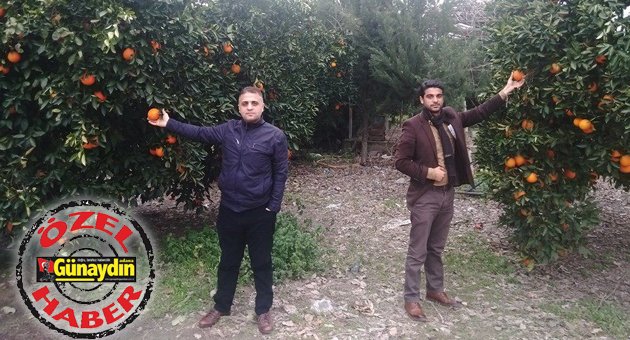 Üretici isyanlarda