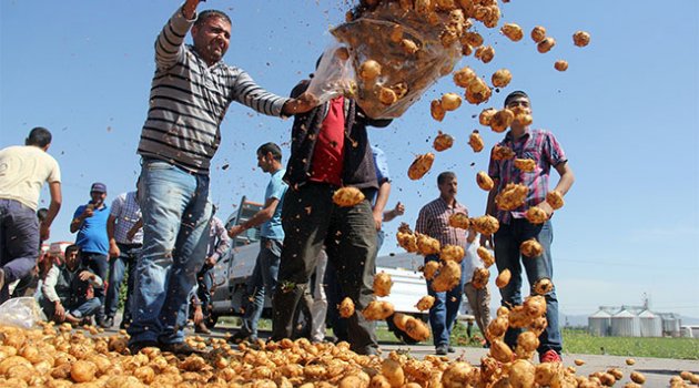 Üretici patates döküp yol kapattı