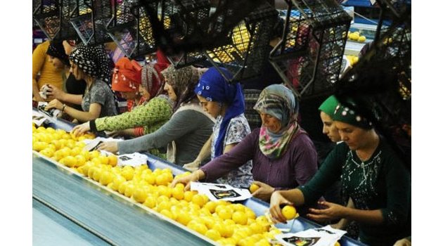 "Üreticiler iktidar yardımıyla kooperatifleşmeli"
