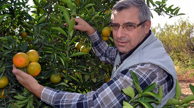 Üreticilere Don Uyarısı