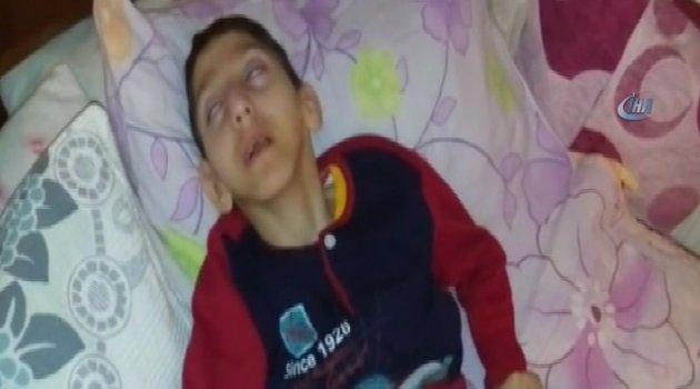 Vicdansızlığın böylesi