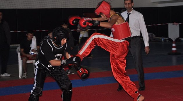 Wushu İllerarası Dostluk Turnuvası