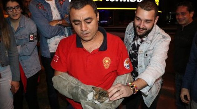 Yavru Kedinin İmdadına İtfaiye Erleri Yetişti