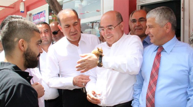 Yavru sincap MHP’nin maskotu oldu