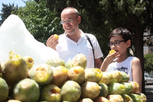 Yazın Devası Dikenli İncir Sezonu Açıldı