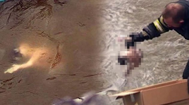 Yeni doğmuş bebek cesedi bulundu