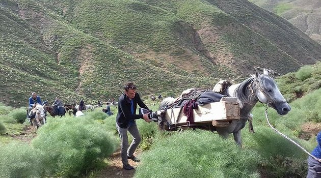 Yıldırım çarpan 18 yaşındaki genç öldü