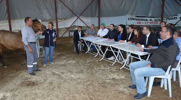 Yılkı Atları ile Engelli Çocuklara Terapi için Personel Eğitiliyor