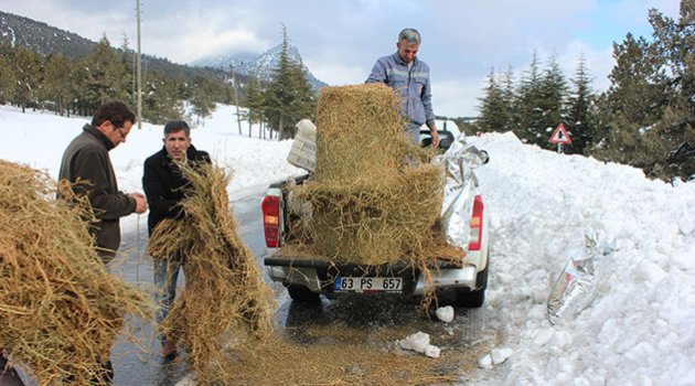 Yılkı atları ve sokak hayvanları için doğaya yem bırakıldı
