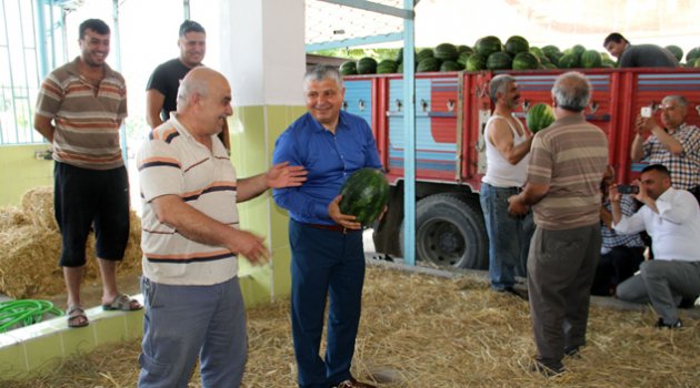 Yılmaz: "Karpuzda ithalat darbesine son vereceğiz"