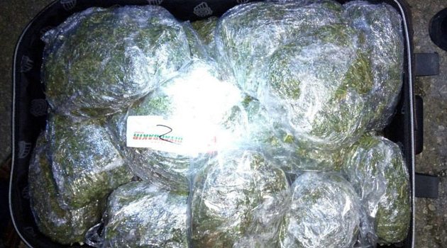 Yolcu bavulunda esrar bulundu