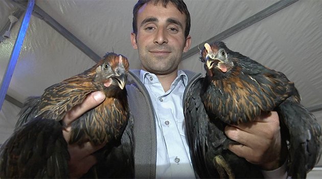 Yumurta Üreticiliği Projesi