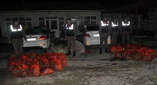 Yunanistan'a götürülen 2 ton kaçak midyeye el konuldu