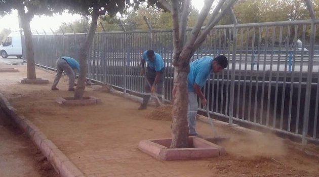Yüreğir Belediyesi’nden kurban temizliği