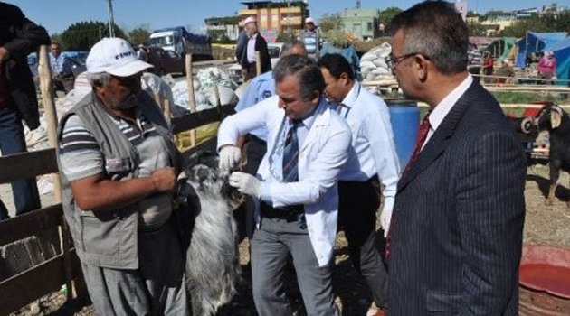 Yüreğir’de kurban kesim ve satış noktaları belirlendi