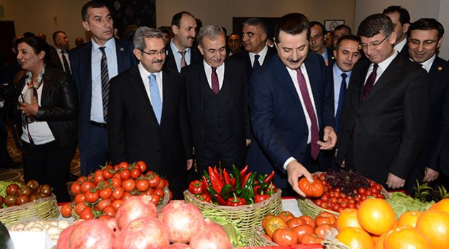 Yüreğir’in Bereketi Sergilendi