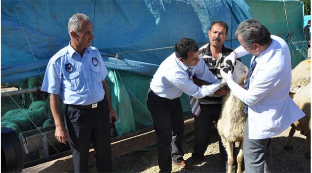 Yüreğir'de kurbanlar ücretsiz kesilecek