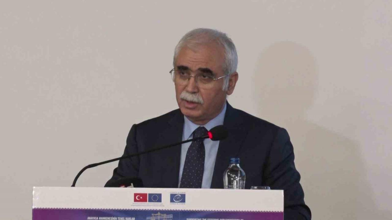 AYM Başkanı Özkaya: