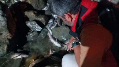 Ceyhan Nehri'ndeki Kirlilikle İlgili İnceleme Başlatıldı