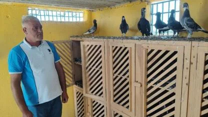 Kayıp Güvercinlerini Bulana Ödülü 100 Bin Liraya Çıkardı