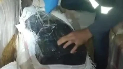 Saman Balyaları Arasından Kaçak Servet Çıktı