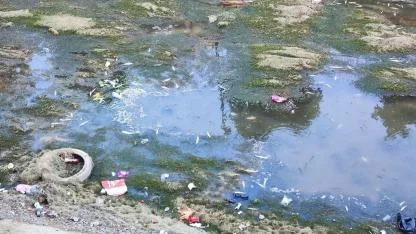 Adana'da Susuzluk Alarmı:Balıklar Telef Oldu