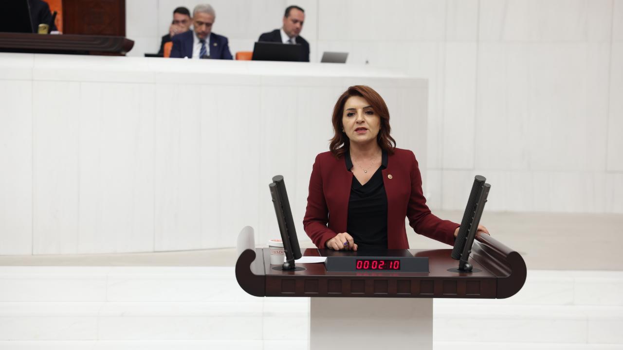 CHP'li Kış'tan Beyin Göçü Eleştirisi:'Bir Ülkenin Valizine Konmuş Tek Yönlü Bir Bilettir''