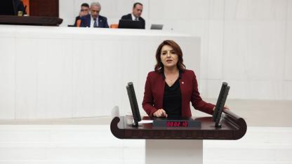 CHP'li Kış'tan Beyin Göçü Eleştirisi:'Bir Ülkenin Valizine Konmuş Tek Yönlü Bir Bilettir''