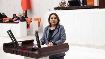 CHP'li Şevkin'den Ekonomi Eleştirisi:''Milyonlarca insan İcralık!''