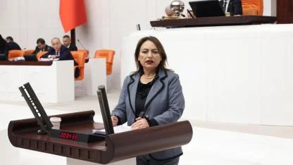 CHP'li Şevkin'den Ekonomi Eleştirisi:''Milyonlarca insan İcralık!''